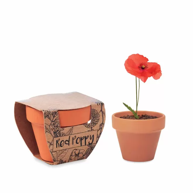 KIT DE PLANTATION PERSONNALISABLE 'POPPY' - coquelicot