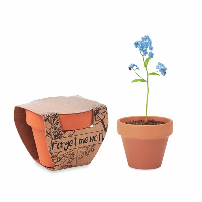 KIT DE PLANTATION PERSONNALISABLE 'POPPY' - myosotis