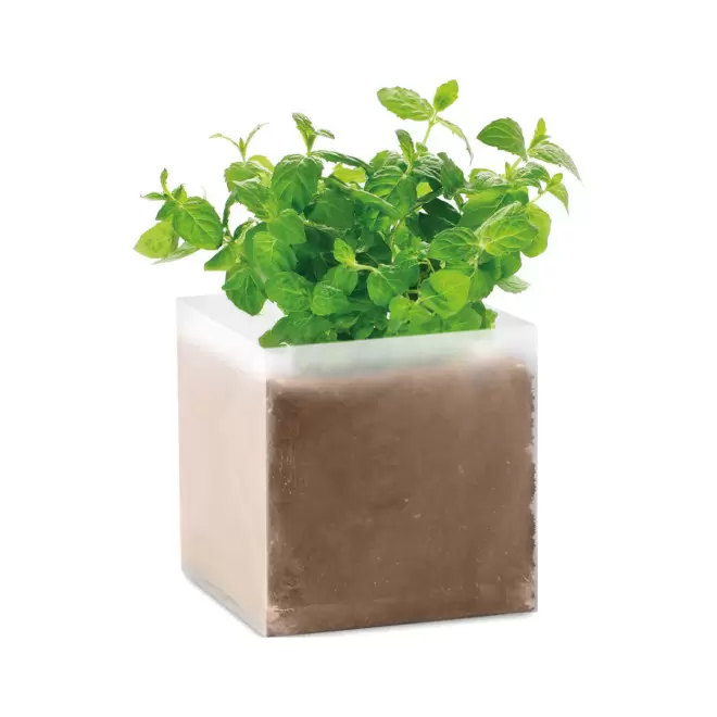 KIT DE PLANTATION PERSONNALISABLE EN SACHET DÉPLIABLE 'MUNDA' - menthe