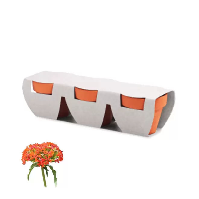 KIT DE PLANTATION PERSONNALISABLE 'POPPY QUADRI TRIO' - croix de jérusalem