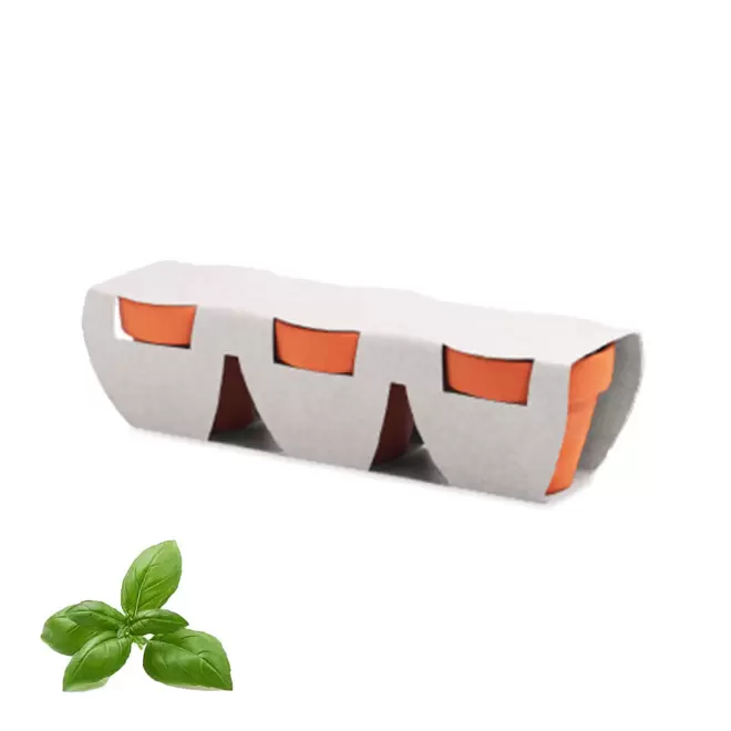 KIT DE PLANTATION PERSONNALISABLE 'POPPY QUADRI TRIO' - basilic