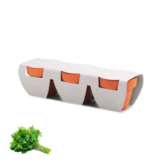 KIT DE PLANTATION PERSONNALISABLE 'POPPY QUADRI TRIO' - persil