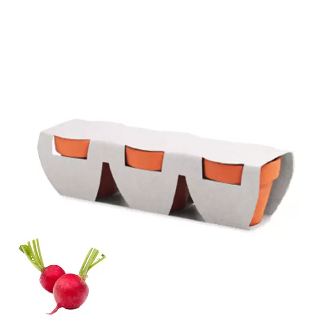 KIT DE PLANTATION PERSONNALISABLE 'POPPY QUADRI TRIO' - radis