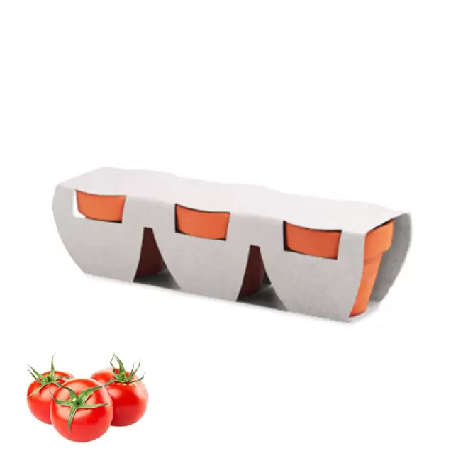 KIT DE PLANTATION PERSONNALISABLE 'POPPY QUADRI TRIO' - tomates