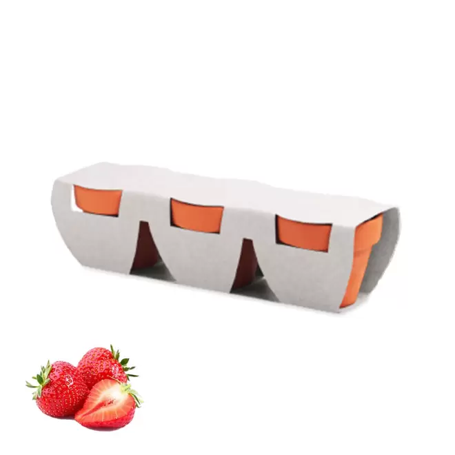 KIT DE PLANTATION PERSONNALISABLE 'POPPY QUADRI TRIO' - fraises