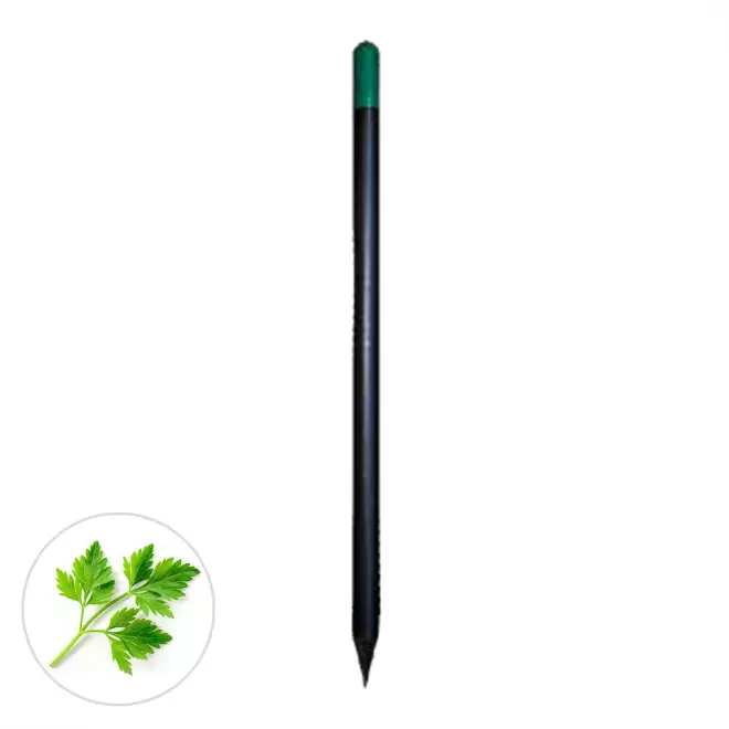 CRAYON A GRAINES PERSONNALISABLE 'SID BLACK' - persil