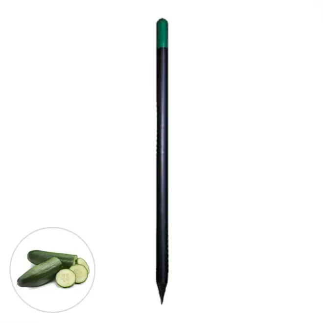 CRAYON A GRAINES PERSONNALISABLE 'SID BLACK' - concombre