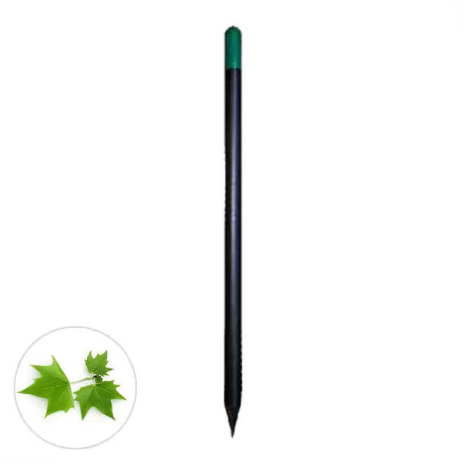 CRAYON A GRAINES PERSONNALISABLE 'SID BLACK' - platane