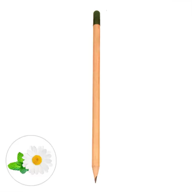 CRAYON A GRAINES PERSONNALISABLE 'SID' - camomille