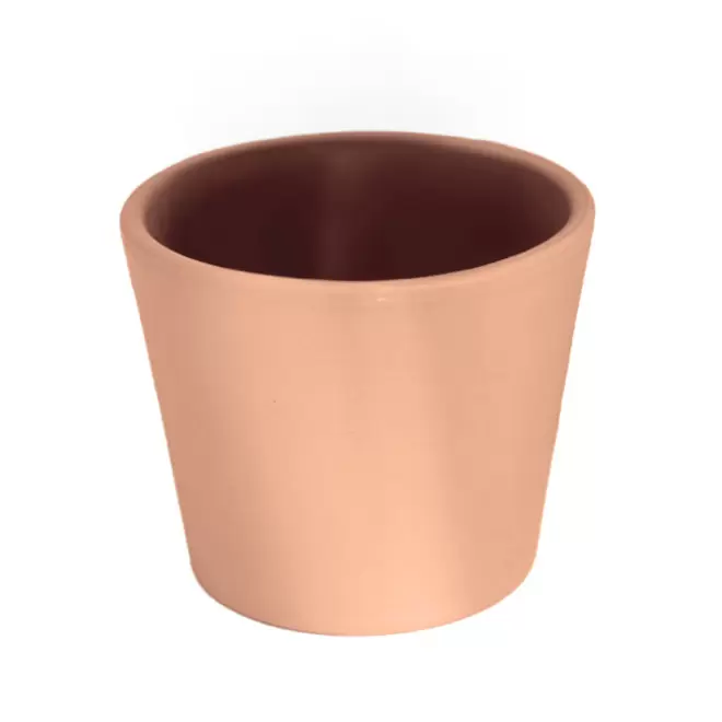 MINI PLANTE EN POT CERAMIQUE PERSONNALISABLE 'LIMIFO' - terre cuite