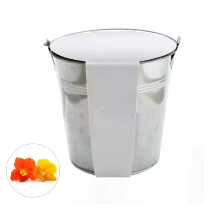 KIT PLANTATION POT ZINC MIF 13ø 'PLANTOU' - capucine