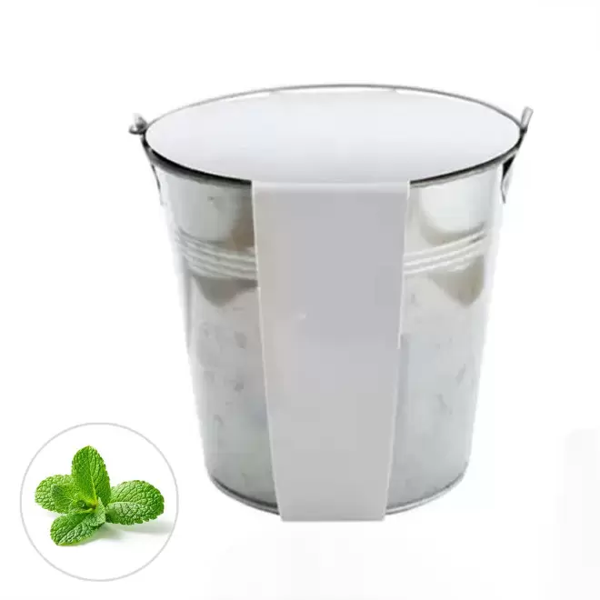 KIT PLANTATION POT ZINC MIF 13ø 'PLANTOU' - menthe