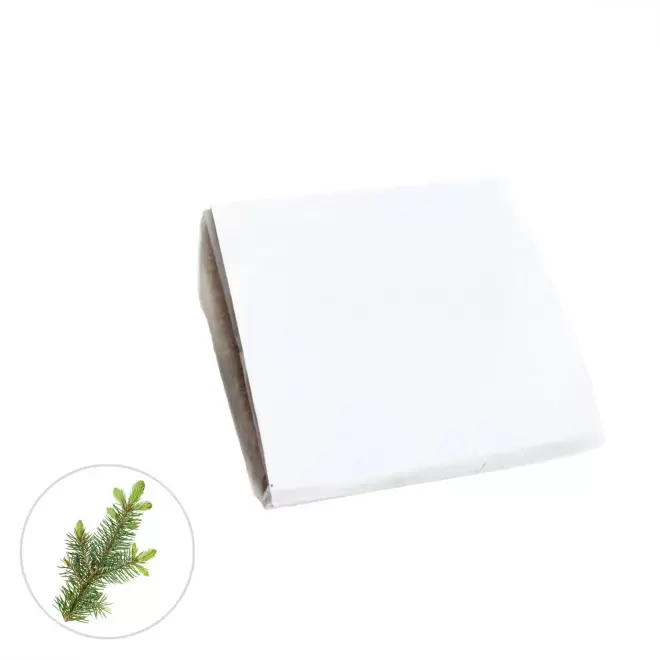 KIT POCKET COCO PERSONNALISABLE 'CLOLU' - épicéa