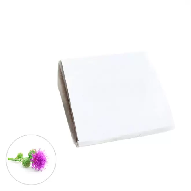KIT POCKET COCO PERSONNALISABLE 'CLOLU' - mimosa pudica