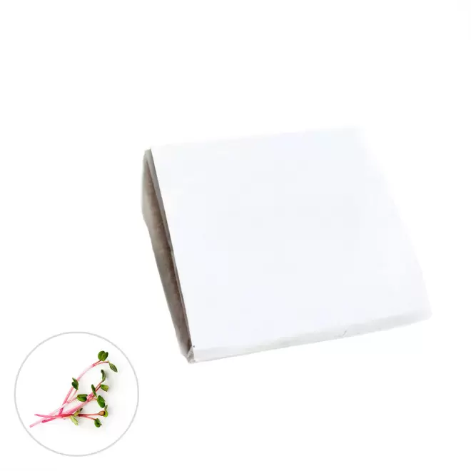 KIT POCKET COCO PERSONNALISABLE 'CLOLU' - cresson