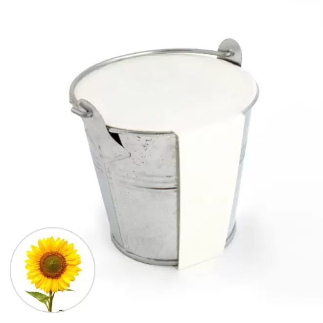 KIT PLANTATION POT ZINC MIF PUBLICITAIRE 8ø 'PLANTOU' - tournesol
