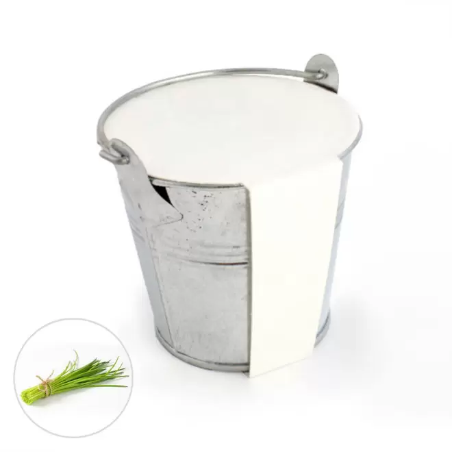 KIT PLANTATION POT ZINC MIF PUBLICITAIRE 8ø 'PLANTOU' - ciboulette