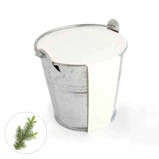 KIT PLANTATION POT ZINC MIF PUBLICITAIRE 8ø 'PLANTOU' - épicéa
