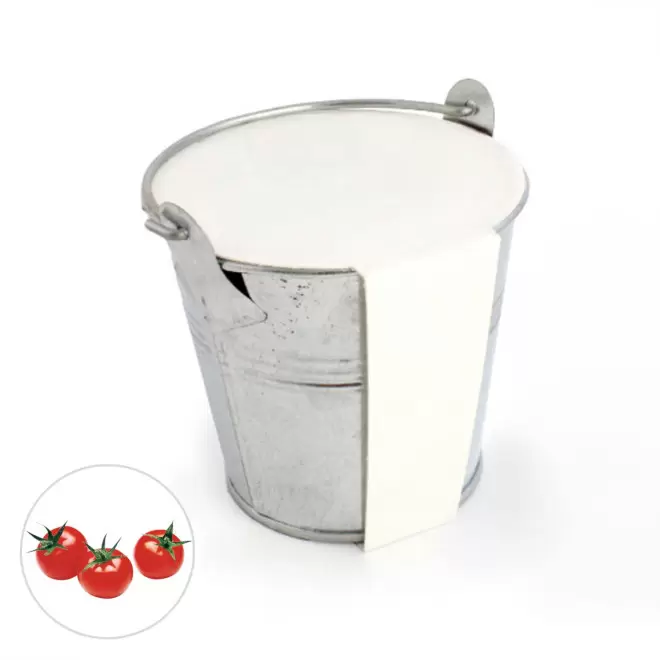 KIT PLANTATION POT ZINC MIF PUBLICITAIRE 8ø 'PLANTOU' - tomate cerise