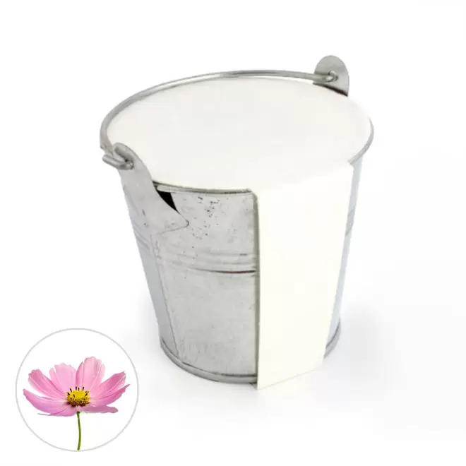 KIT PLANTATION POT ZINC MIF PUBLICITAIRE 8ø 'PLANTOU' - cosmos