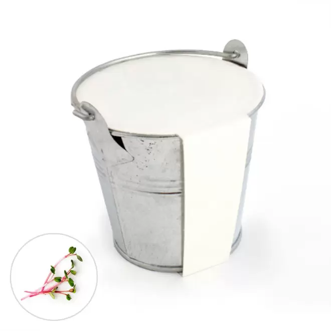 KIT PLANTATION POT ZINC MIF PUBLICITAIRE 8ø 'PLANTOU' - cresson