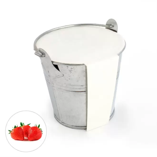 KIT PLANTATION POT ZINC MIF PUBLICITAIRE 8ø 'PLANTOU' - fraise des bois