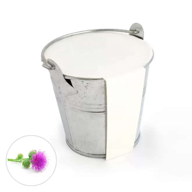 KIT PLANTATION POT ZINC MIF PUBLICITAIRE 8ø 'PLANTOU' - mimosa pudica