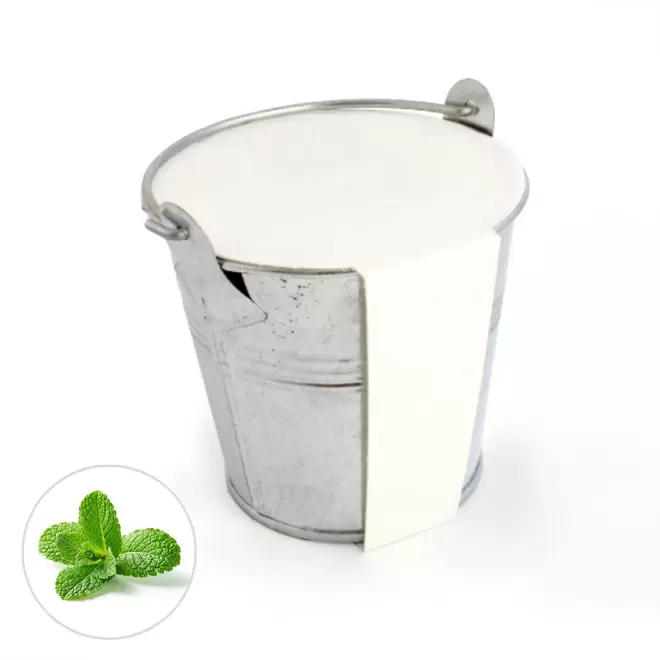 KIT PLANTATION POT ZINC MIF PUBLICITAIRE 8ø 'PLANTOU' - menthe