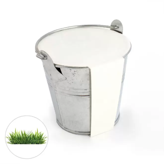 KIT PLANTATION POT ZINC MIF PUBLICITAIRE 8ø 'PLANTOU' - gazon