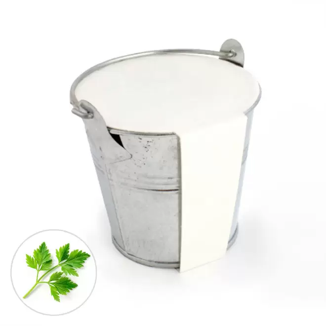 KIT PLANTATION POT ZINC MIF PUBLICITAIRE 8ø 'PLANTOU' - persil