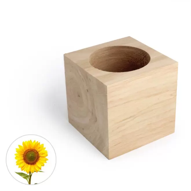 CUBE EN BOIS À GRAINES PERSONNALISÉ 'EPIA' - tournesol