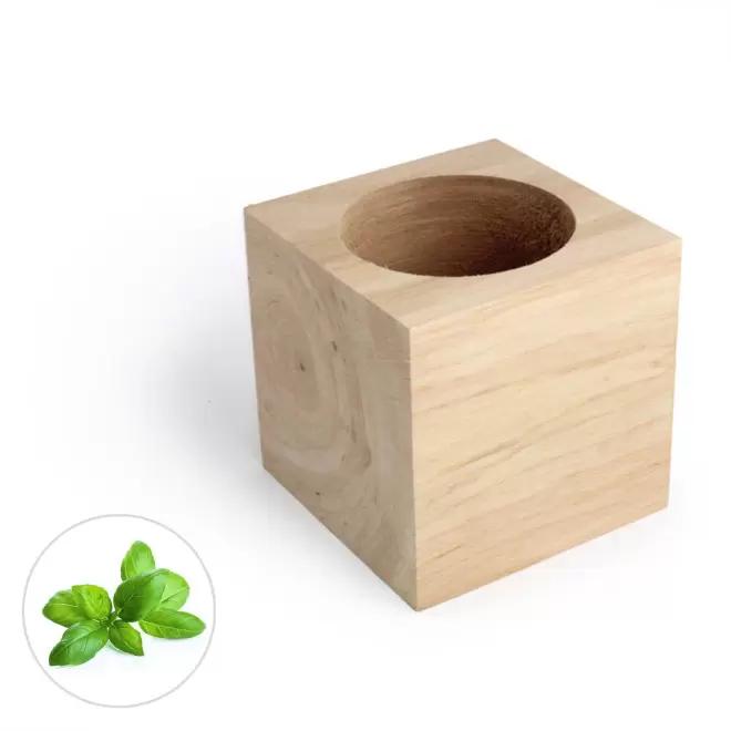 CUBE EN BOIS À GRAINES PERSONNALISÉ 'EPIA' - basilic