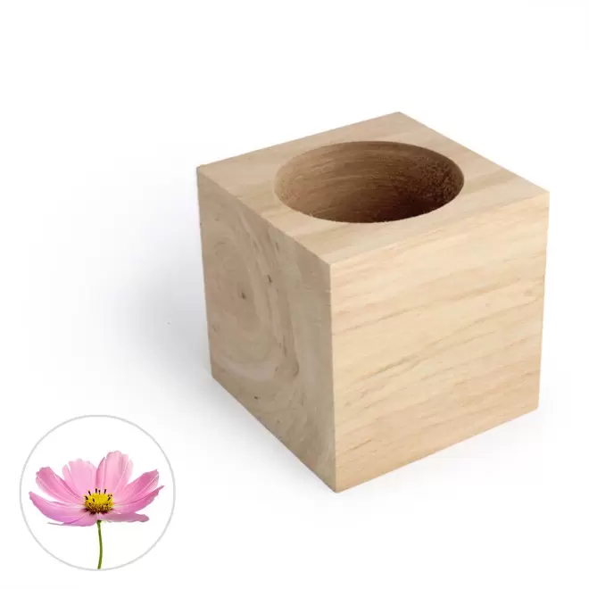 CUBE EN BOIS À GRAINES PERSONNALISÉ 'EPIA' - cosmos