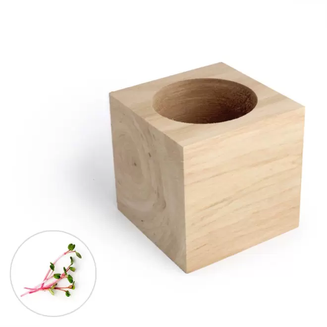 CUBE EN BOIS À GRAINES PERSONNALISÉ 'EPIA' - cresson