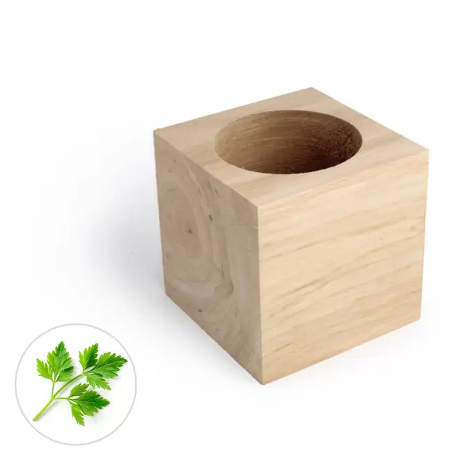 CUBE EN BOIS À GRAINES PERSONNALISÉ 'EPIA' - persil