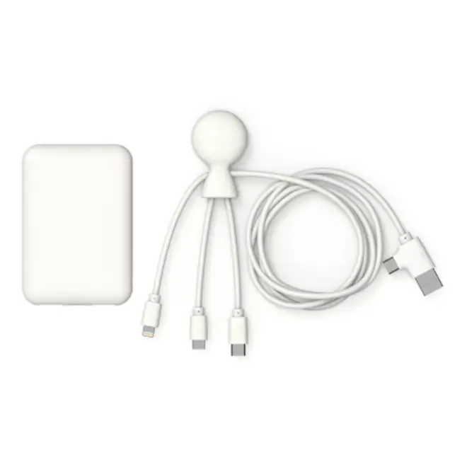 PACK BATTERIE ET CABLE PERSONNALISABLE 'MR BIO PACK LONG' - blanc