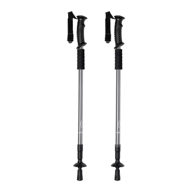 BÂTON DE RANDONNÉE PERSONNALISABLE 'CALIX' - argenté