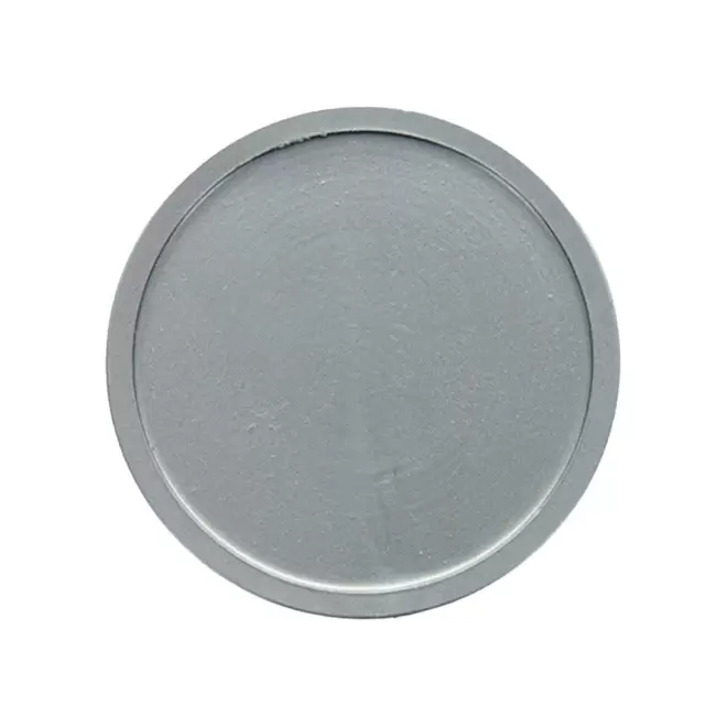 JETON EN PLASTIQUE PERSONNALISABLE 'MONNET' - argenté