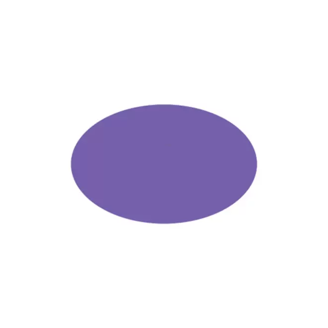 JETON DE FETES ET MANEGE PERSONNALISABLE 'FUNZY OVALE' - violet