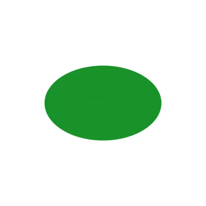 JETON DE FETES ET MANEGE PERSONNALISABLE 'FUNZY OVALE' - vert clair