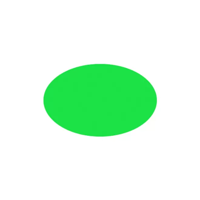 JETON DE FETES ET MANEGE PERSONNALISABLE 'FUNZY OVALE' - vert pomme