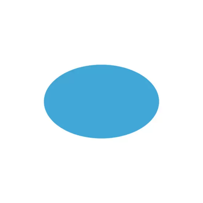 JETON DE FETES ET MANEGE PERSONNALISABLE 'FUNZY OVALE' - bleu clair