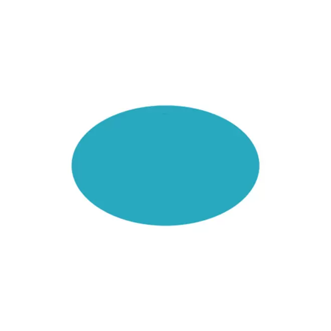 JETON DE FETES ET MANEGE PERSONNALISABLE 'FUNZY OVALE' - turquoise