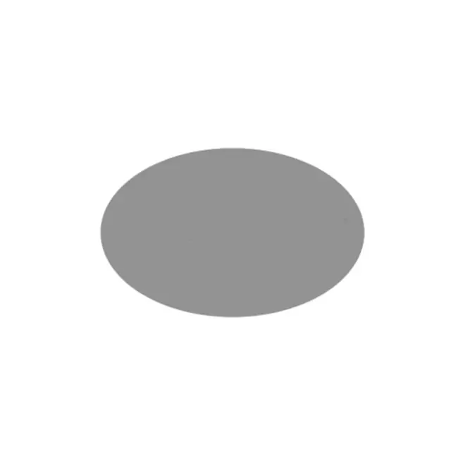 JETON DE FETES ET MANEGE PERSONNALISABLE 'FUNZY OVALE' - argenté