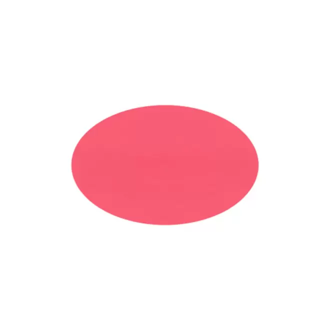 JETON DE FETES ET MANEGE PERSONNALISABLE 'FUNZY OVALE' - rose vif