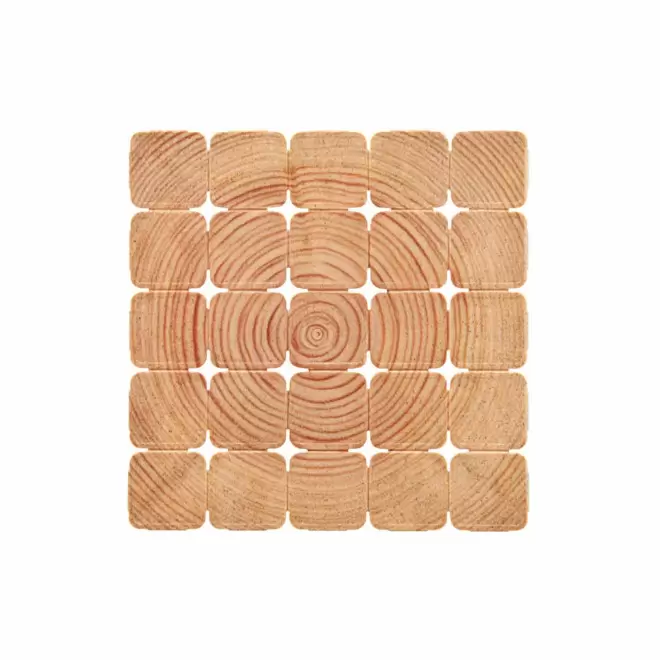 JETON FESTIVAL EN BOIS PERSONNALISABLE 'FESTYDEAL' - bois