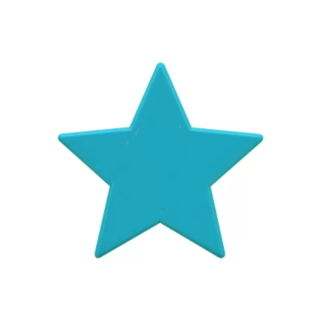 JETON DE FETES ET MANEGE PERSONNALISABLE 'FUNZY ETOILE' - turquoise - 7x7cm