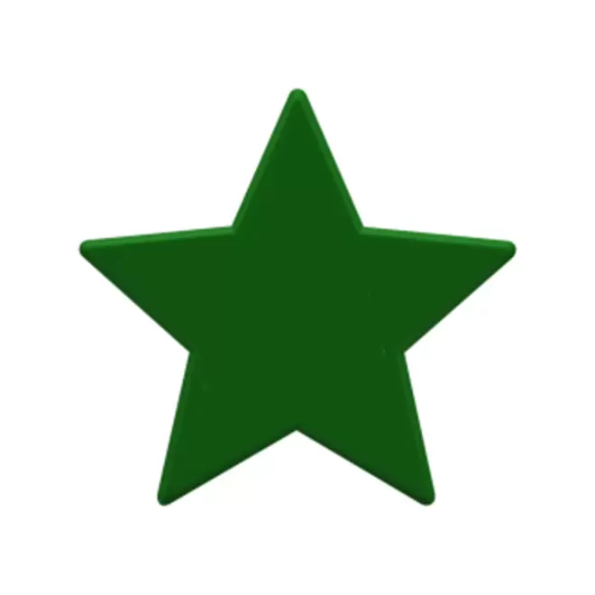 JETON DE FETES ET MANEGE PERSONNALISABLE 'FUNZY ETOILE' - vert foncé - 9x9cm