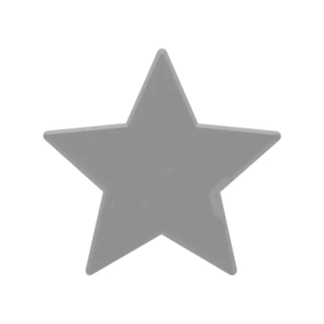 JETON DE FETES ET MANEGE PERSONNALISABLE 'FUNZY ETOILE' - argenté - 9x9cm