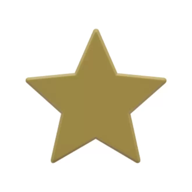 JETON DE FETES ET MANEGE PERSONNALISABLE 'FUNZY ETOILE' - or - 9x9cm